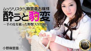 Heyzo-0330 ムッツリスケベなお嬢様のお持ち帰られ方